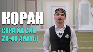 Коран в исполнении студента МИИ | Сура 36 Йа Син 28-40 айаты