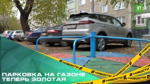 Парковка на газоне теперь золотая. За месяц нарушителям во дворах выписали 500 штрафов