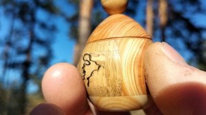 шкатулка в ноябрьском лесу среди сосен на сосне