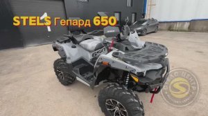 Новинка! Stels Гепард 650 2.0 TE