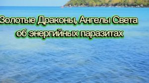 Золотые Драконы, Ангелы Света об энергийных паразитах 26.10.2025г (179 Послание)