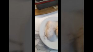 10.11 ХОЛОДЕЦ