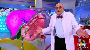 Статины - враги или защитники сердца? Жить здорово! Фрагмент выпуска от 10.11.2025