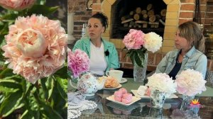 Посиделки у камина. Обзор цветения сеянцев пионов Ворошиловой! Часть 1 / Сад Ворошиловой