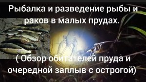 Рыбалка и разведение рыбы и раков в малых прудах ( обзор пруда и заплыв с острогой)