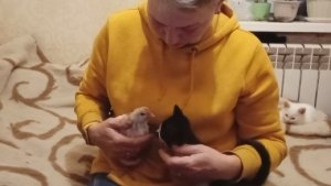 Укол для цыпленка. Лечим бронхит. А Муся сочувствует.