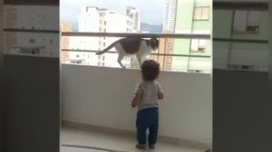 Убрал руки от балкона