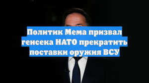 Политик Мема призвал генсека НАТО прекратить поставки оружия ВСУ