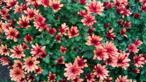 много уборки, поломался помощник 😔