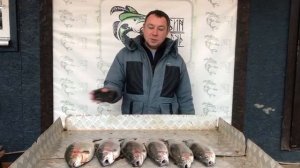 хороший улов форели