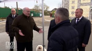 Порой придраться не к чему!