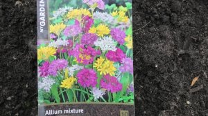 4-9 11 25г о луке декоративном