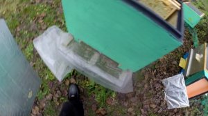 Пересаживаю слабые семья, в нуклеусы.