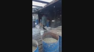 Вести из приюта Кот и Пёс за 10 ноября 2025