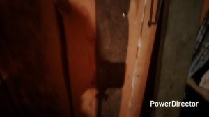 10-11-2025 Привет от Лены из "Усадьбы щедрая козочка".