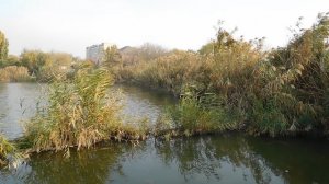 09=11=2025  ник  ТЭЦ   (78)