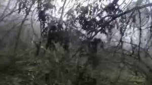 Разведчики армейского спецназа России и пачка пленных солдат ВСУ на кадрах