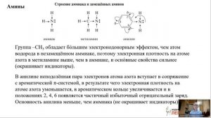 Жиры. Углеводы. Амины. Аминокислоты. Белки. Вопрос 13 ЕГЭ по химии 2026 года