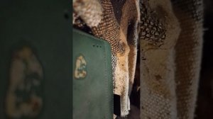 переодевашки вечерний влог