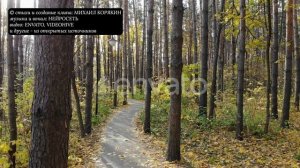 © стихи Михаил КОРЯКИН почему мы расстались