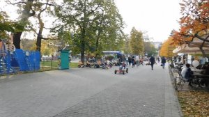 04=11=2025  ник  ПВН  КРАСНОДАР  (100) ПАРК  ГОРЬКОГО.