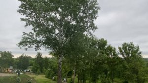 В гостях у поэта, который написал: «Я пришёл к тебе с приветом…"