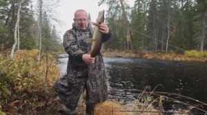 Рыбалка в Карелии. Ловля щук на спиннинг в середине осени.