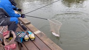 Малиновая блесна.Спорт зона