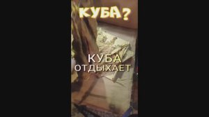 Куба отдыхает.