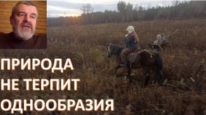 Гармония жизни против потребительства. Гуманизм - это не не только про людей