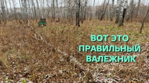 Последний выезд за валежником в лес