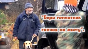 "Бери гончатник гончих на охоту".#охотасгончей#собака #животные #топ #hunting #песнядлядуши