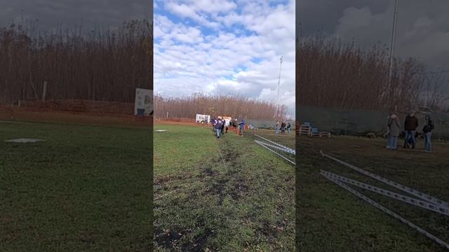 ПОДРОСТКИ СУКИ / КЧК ВОРОНЕЖ 26 октября`25 М.Волкова Моно немецких овчарок