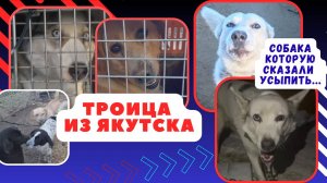 Люди, а вы боитесь зимы? Страшно за предстоящую зиму.