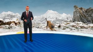 В Московский зоопарк привезли двух амурских тигриц с Дальнего Востока: видео