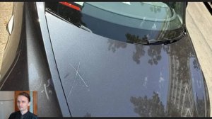 Подборка безумных новостей. Леваки не простили тесловодов