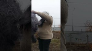 1000224459.mp4Скидочки.т.89020931602