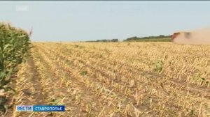 Вести. Ставропольский край» 10.11.2025 (11.30)