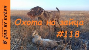 Охота на зайца. Выпуск № 117 18+