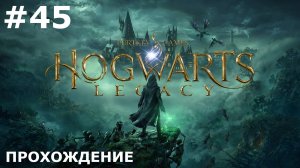 ИГРАЕМ В HOGWARTS: LEGACY| #45 МУЗЫКАЛЬНАЯ ЗАГАДКА + ПРОПАВШИЙ НЮХЛЬ