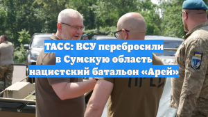ТАСС: ВСУ перебросили в Сумскую область нацистский батальон «Арей»