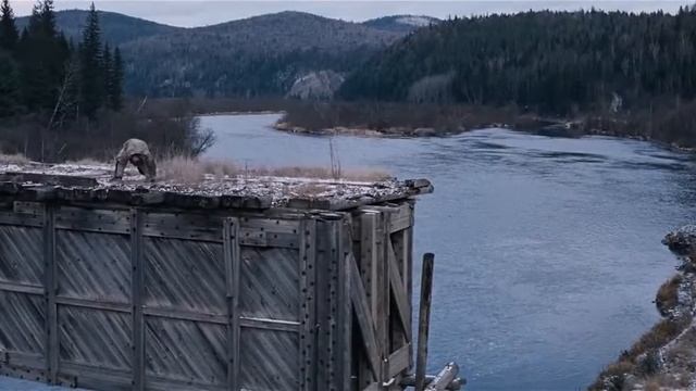 сибирь монамур Омела встреча смотреть онлайн