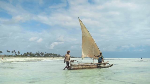 Freedom of the Ocean  Ambient music