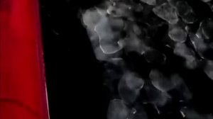 Образование блинчатого льда в Северном Ледовитом океане