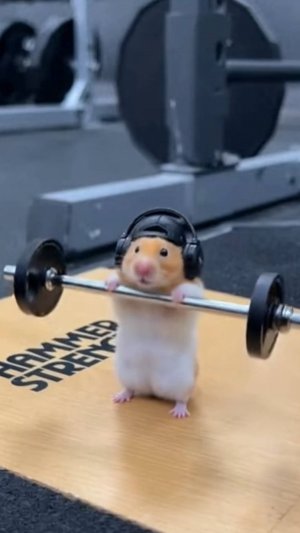 Вы хотите хорошего настроения...Таки Вам сюда.