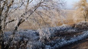 Народные приметы на 10 ноября: что можно и нельзя делать