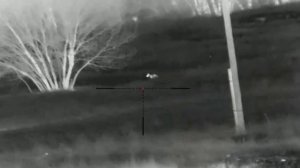 Визит Александра в шакалье Эльдорадо, есть и такие места в Ростовских степях.