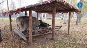 Коллекция жилищ народов ханты и манси представлена на этностойбище под Тюменью