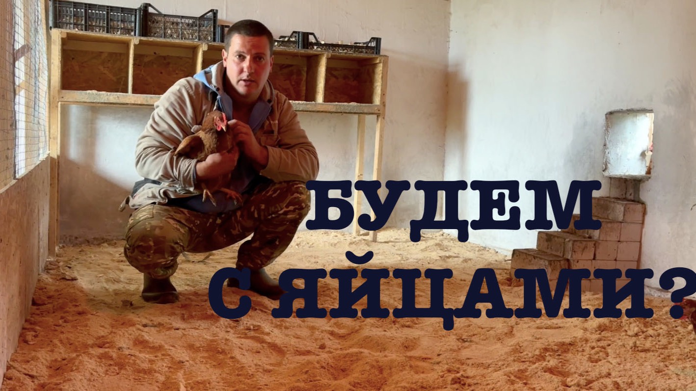 #179. Где пропадали? Последний урожай. Посадка чеснока. [Жизнь на своей земле] смотреть онлайн