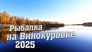 Рыбалка на Винокуровке в Астраханской области 2025 г.